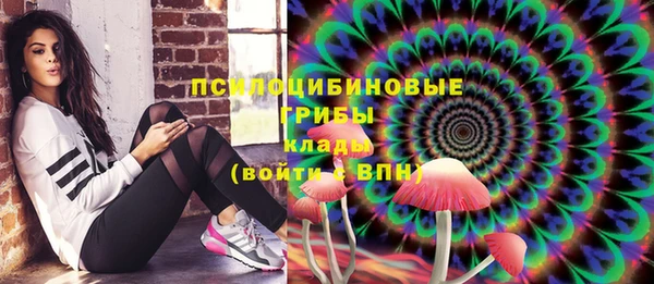 ГАЛЛЮЦИНОГЕННЫЕ ГРИБЫ Осинники