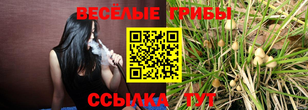 Псилоцибиновые грибы ЛСД  Вход с VPN  Конаково 